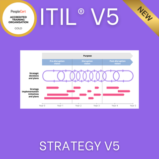 ITIL V5 Strategy training course - accredited eLearning by Zindiak